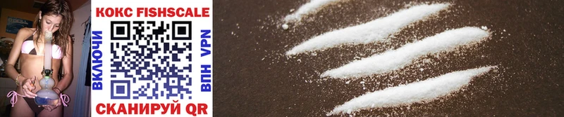 Cocaine Fish Scale  как найти наркотики  Исилькуль 