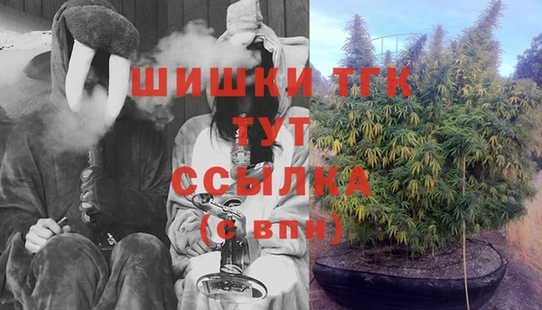 дмт Алексин