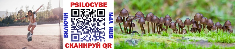 Псилоцибиновые грибы Magic Shrooms Исилькуль